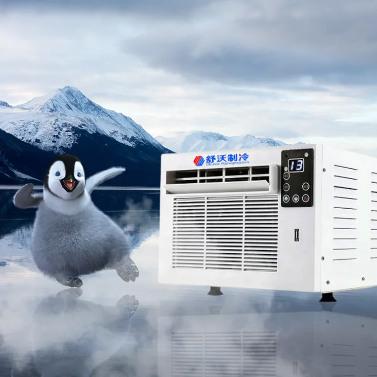 Selling low price 12V 24V dc mini air conditioner for camping