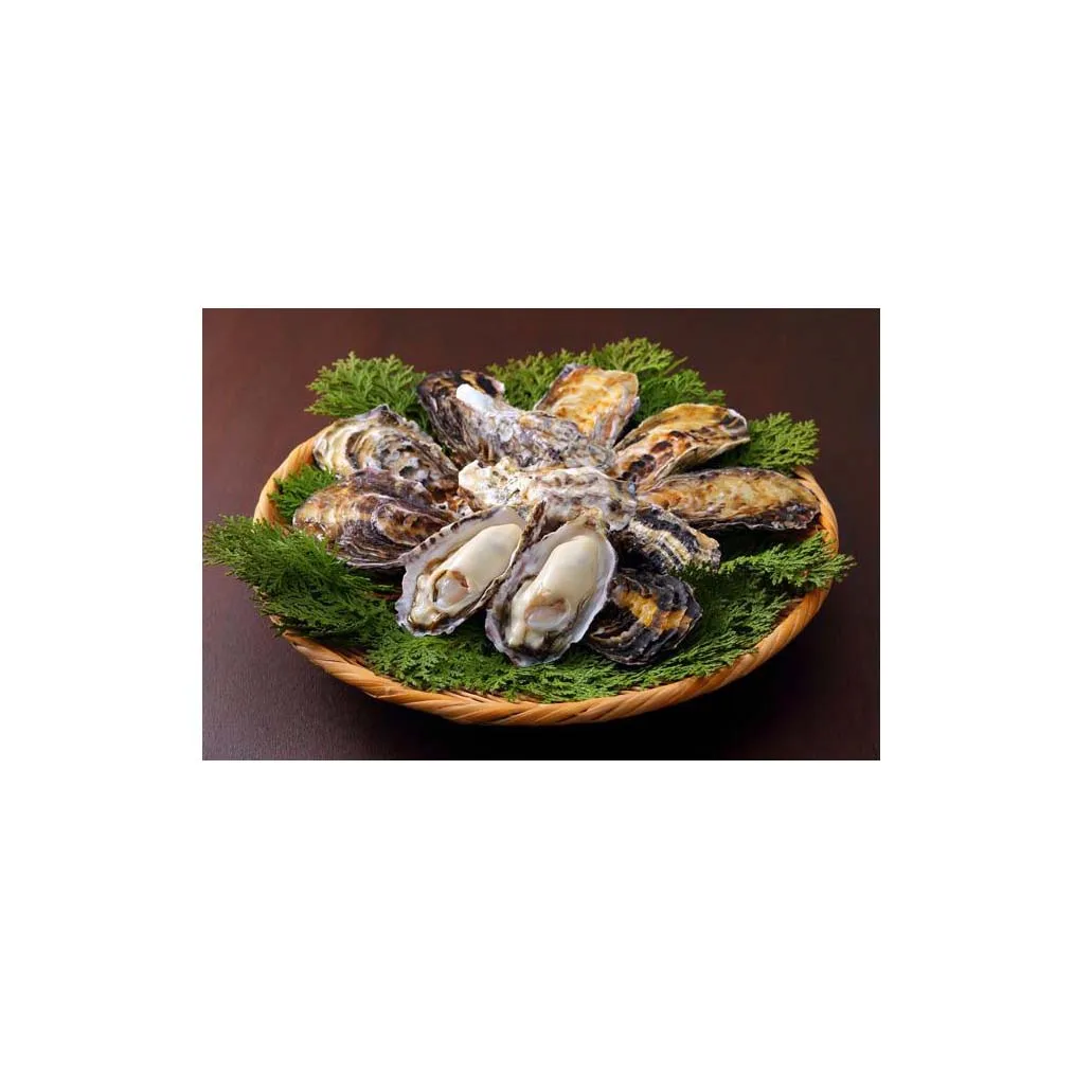 
Japan buyer reasonable price high quality wholesale oysters for sale 