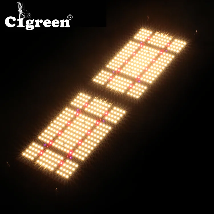  Новейшая светодиодная осветительная панель cigreenlight 630 Вт униформа PPFD cigreenBeast Pro для гидропонного выращивания