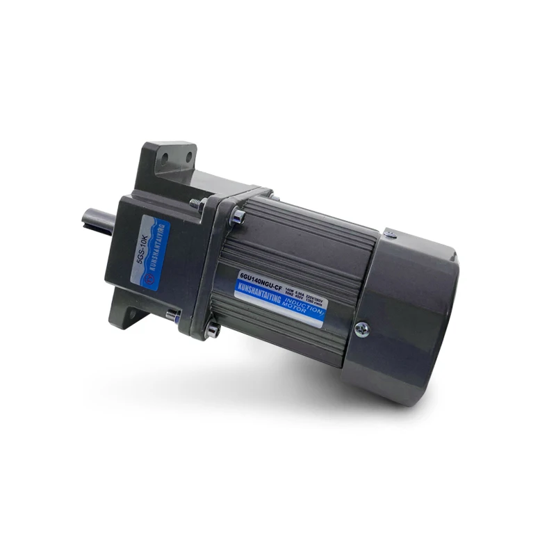 6w 10w 15w 25w 40w 90w 120w 200w 250W Series AC Induction Gear Motor Induction Motor AC Induction Gear Motor