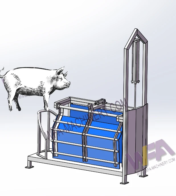 Complete Butcher Shop Pig Slaughterhouse Equipment Abattoir Hog Slaughtering Box Pork Processing Swine Slaughter Machine
