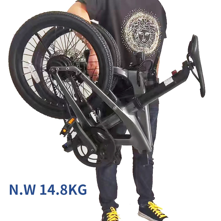 Anlochi 2024 Long Range 20inch 36V 250W Single Speed Carbon Belt Drive Folding Electric Bike for Women