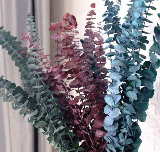 Preserved natural dried Eucalyptus Leaves green round leaf branches flower, Hanging Fragrance Real Plant, flower arrangement