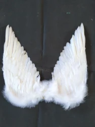 wholesale stock discount promotion Party Costumes Decorative white Feather Angle Wings