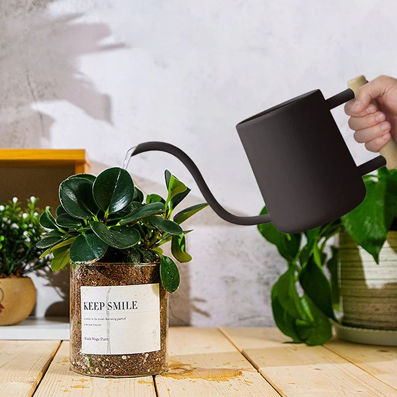 Металлическая декоративная Лейка для комнатных растений на заказ с длинным носиком разбрызгивания воды