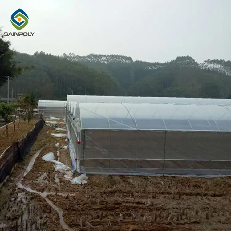 Agricultural Film greenhouse with hydroponic system
