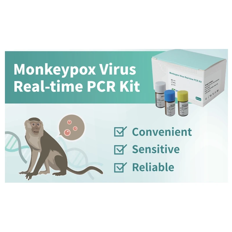 Hot Sale Professional Monkeypox Virus Detection kit monkeypox virus pcr Test Kits results reliable tests monkeypox