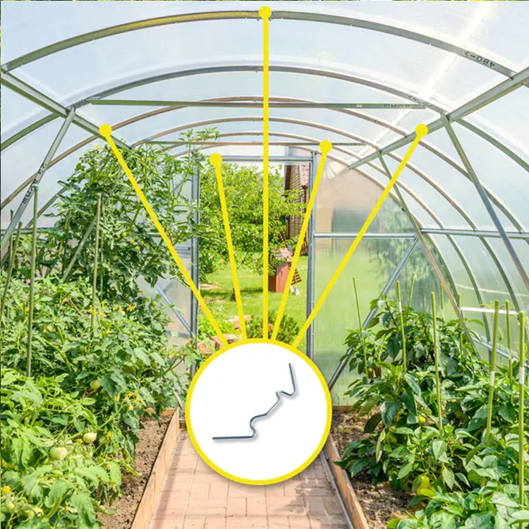 multi-wall polycarbonate hollow sheet and PC hollow panels green house twin wall hollow polycarbonate sheet
