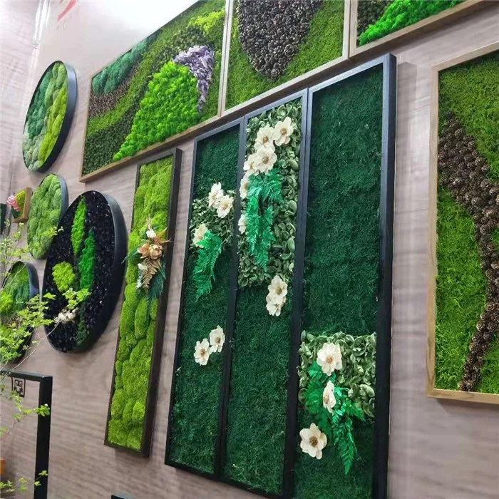 wholesale decorative green moss balls high quality natural preserved reindeer moss wall hanging frame for wall decor