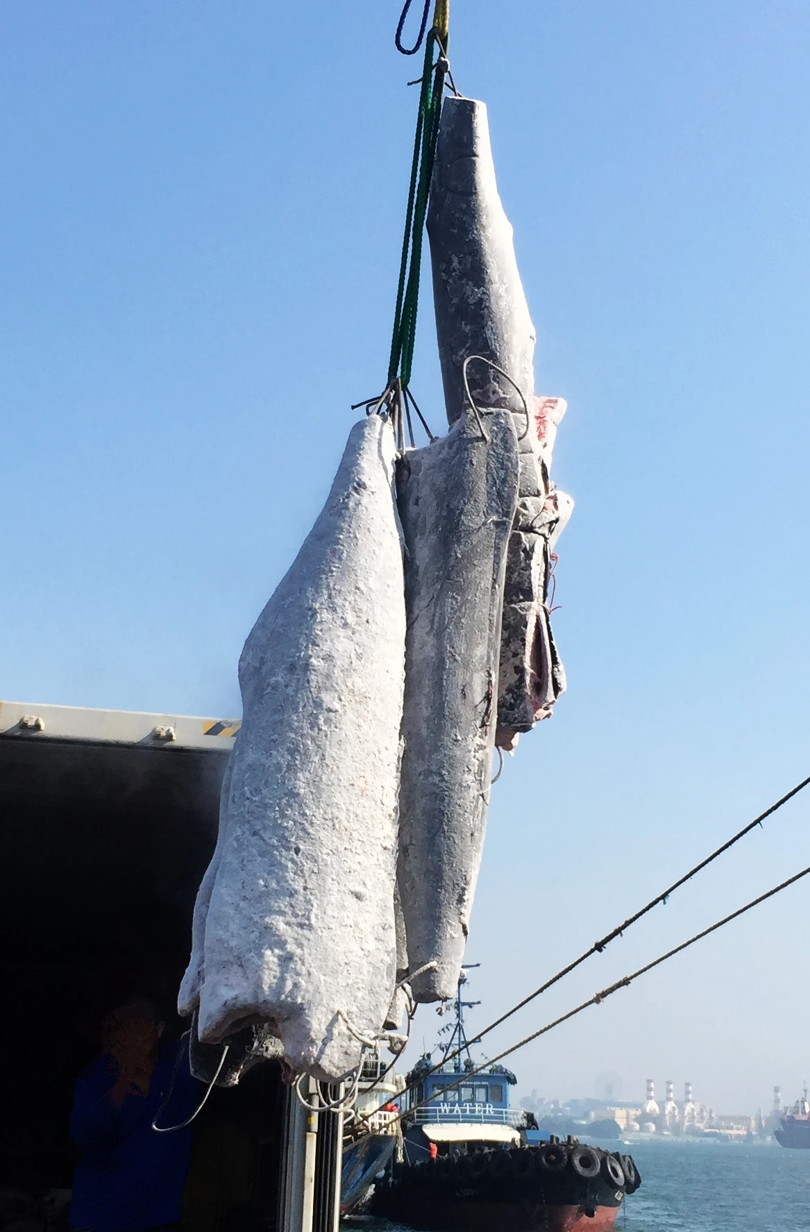 
2020 Wholesale IQF frozen Blue Marlin for fresh seafood 