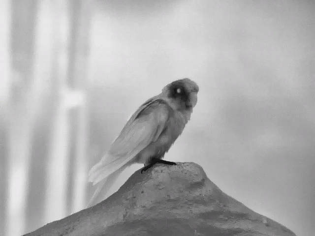 Security and Surveillance Army Night Vision Military Long Range Thermal Imaging Binoculars Camera