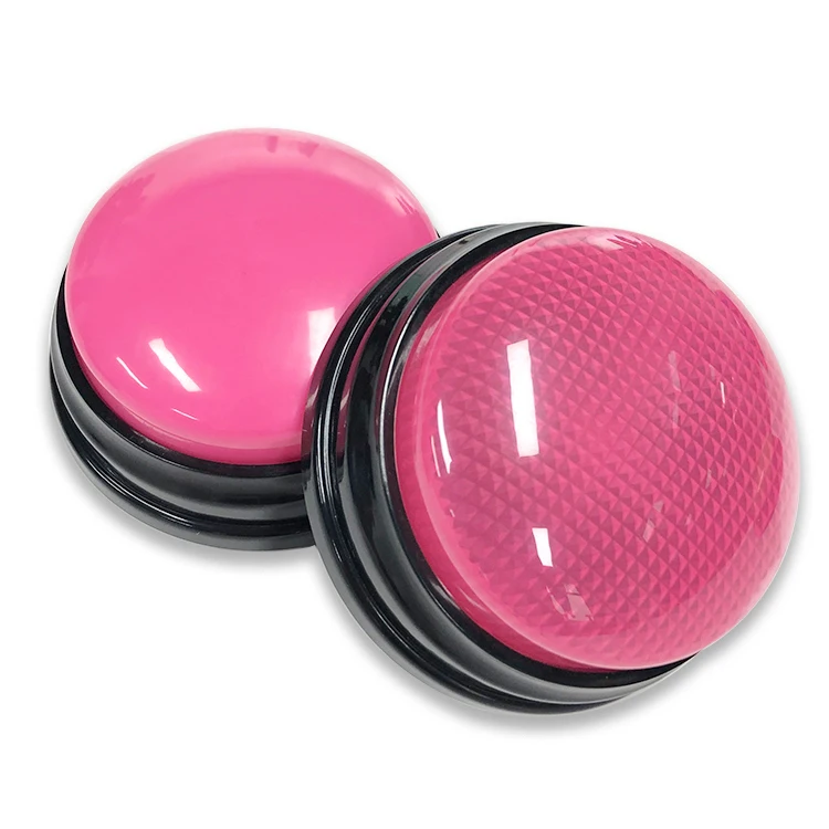 Упаковка с логотипом на заказ, цветная светодиодная мигающая подсветка, звуковой сигнал, говорящая собака, записываемая кнопка