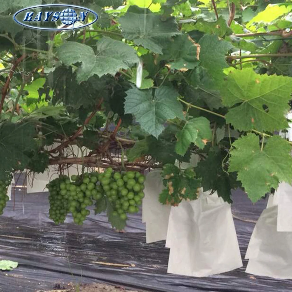 
Top Selling Products Nonwoven Agriculture Fruit Protection Bag Nonwoven Grape Bag 