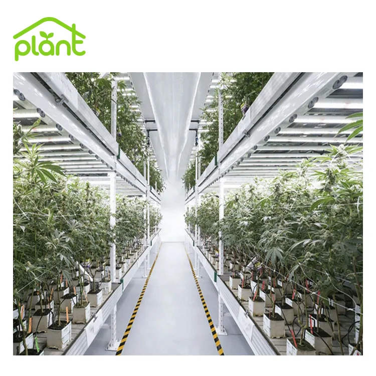 Multi Level Growing Rack Hydroponic Ebb and Flow Growing System Vertical Grow Rack