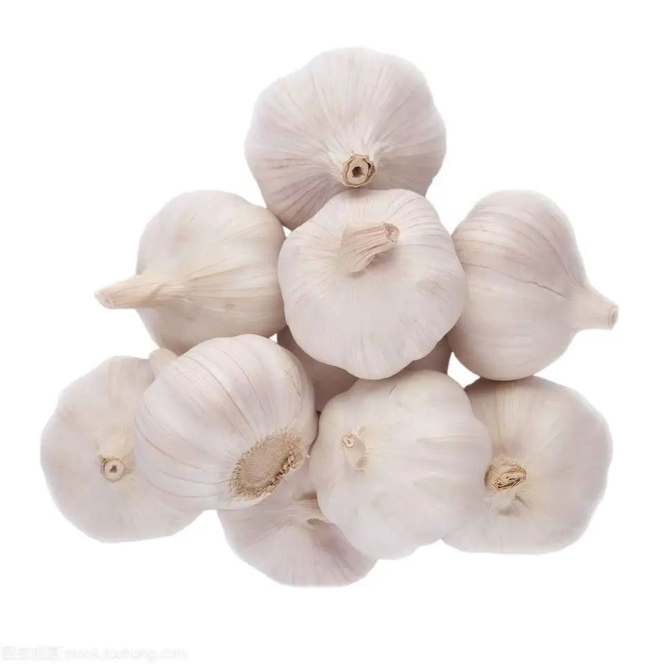 High Quality Dried Garlic Ready To Ship From Vietnam Dried Garlic For Cooking Best Price For Wholesale