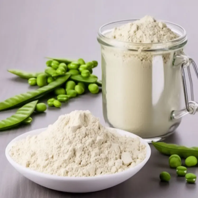 Sports Nutrition Supplements Chocolate Pea Protein Potential Vegetarian Protein Vegan Protein Powder