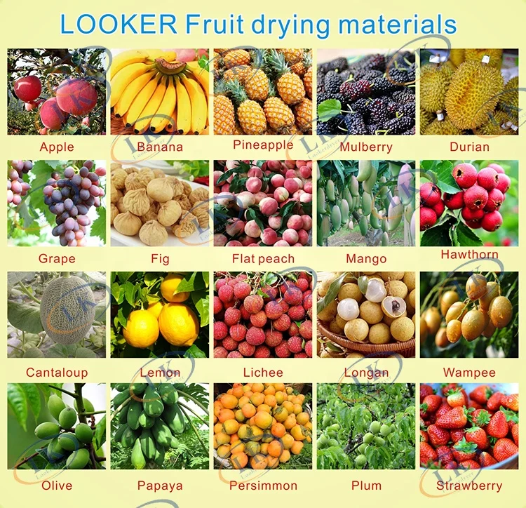  Looker сушилки сельскохозяйственной продукции Дегидратор для
