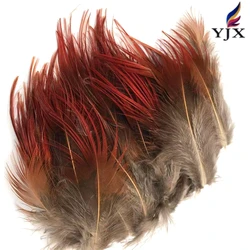 Wholesale  Natural  Color  Golden Pheasant Feathers    Pheasant Plumage  Feathers