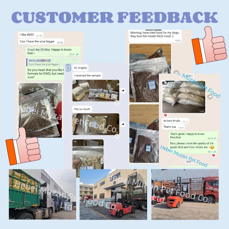 Dry Cat Food 1 to 12 Month Food Cat and Dog Chicken Mix Halal Dry Cat Food Manufacturer