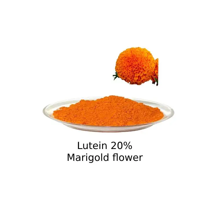 Natural Marigold Flower Extract Bulk 20% Lutein Powder