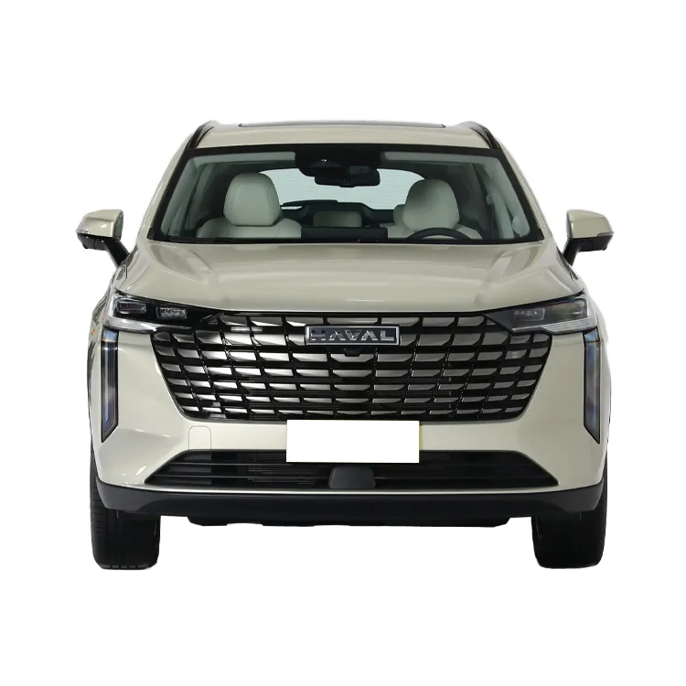 Высокопроизводительный автомобиль Haval H6s 2022 в наличии Горячая торговля для взрослых внедорожников бензиновых автомобилей
