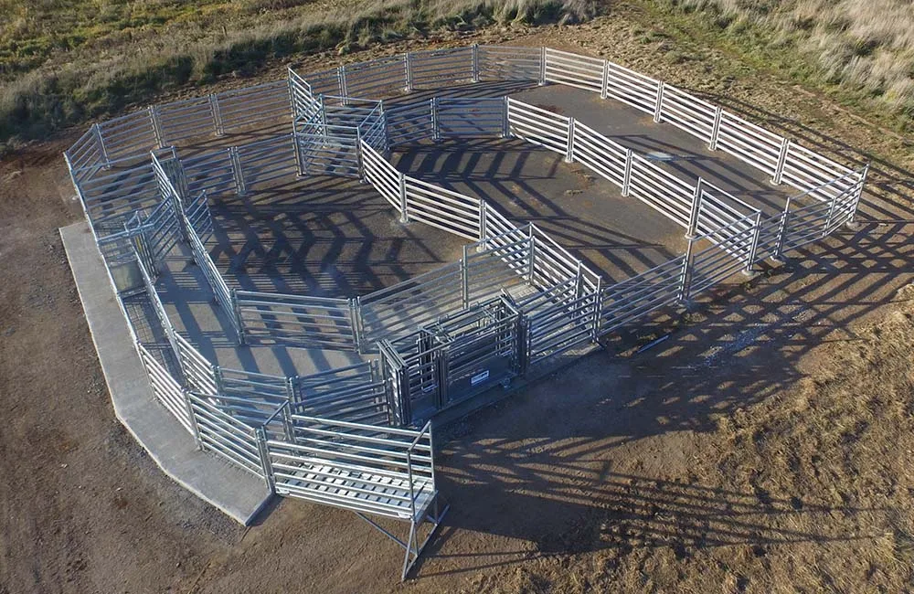 2400 head cattle yard hot dip galvanized 1.8H x 2.1L Cattle Panel And Cattle Yard Design