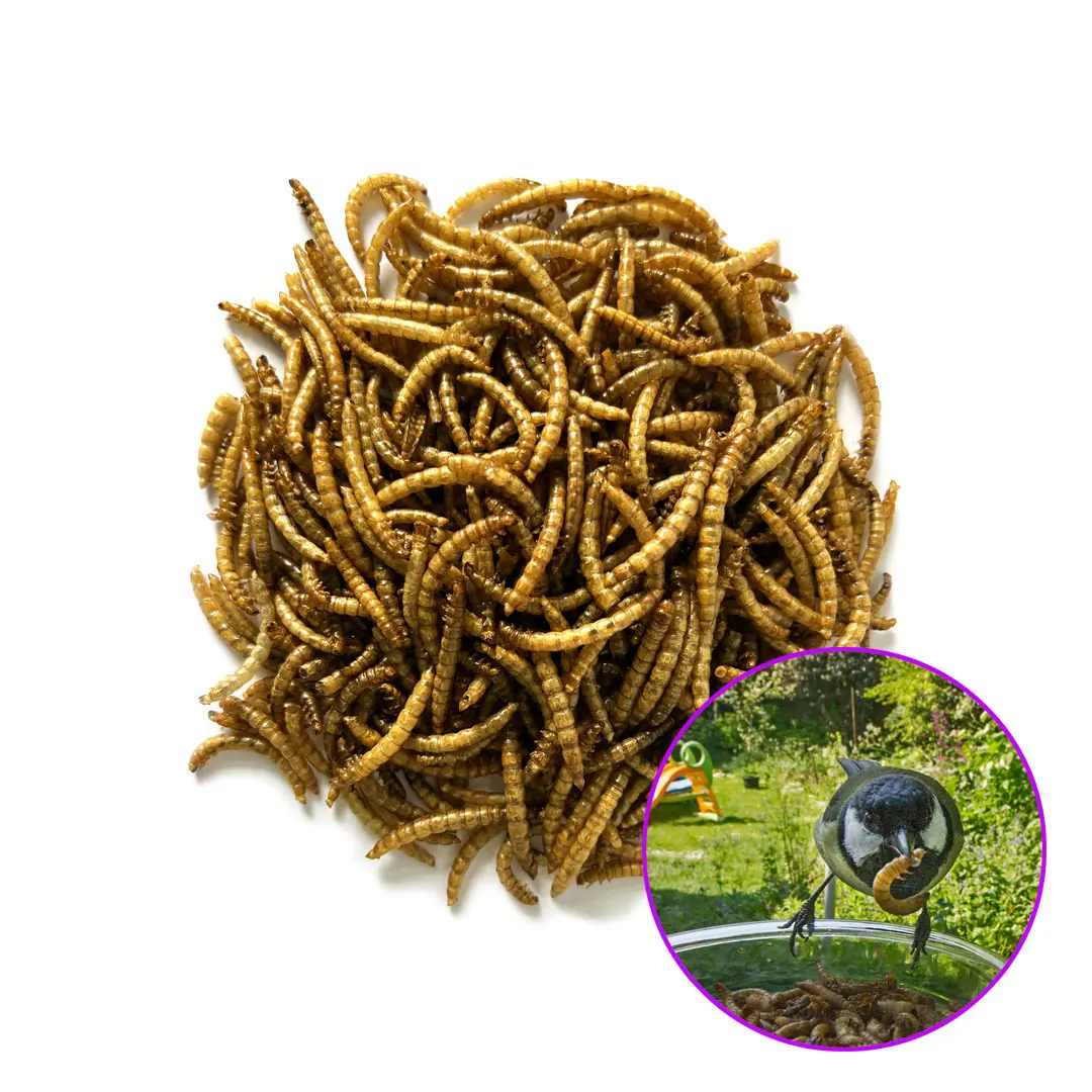 Frozen Feeder Mealworms For Pet Birds Food Amphibians Aquatic Fishing Bait Canned Or Bag Available