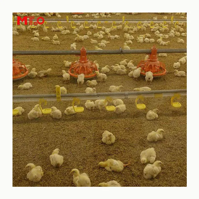Полностью автоматическая система выращивания кур на земле для бройлеров с автоматическим оборудованием