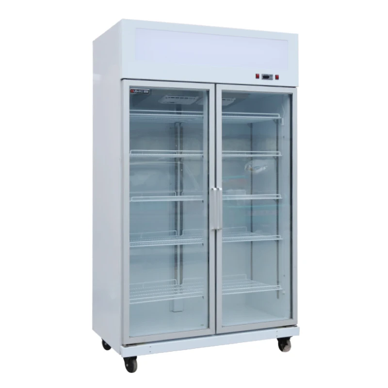 Commercial Supermarket Display Refrigerators Two Glass Door Beer Fridge Upright Beverage Cooler Freezer good price