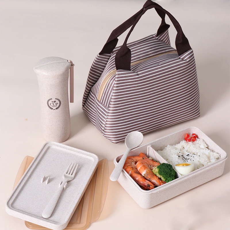 HaiXin Eco Friendly Wheat Straw Bento Lunch Box Container Takeaway Water Bottle Lunch Box Set with Bag