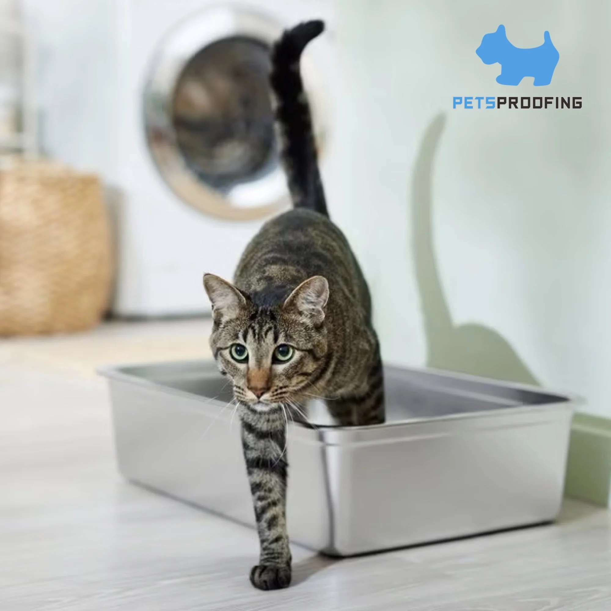 Wholesale Multifunction Portable Wall Stainless Steel 304 Cat Toilet Tray Manual Cleaning Cat Litter Box & Accessory