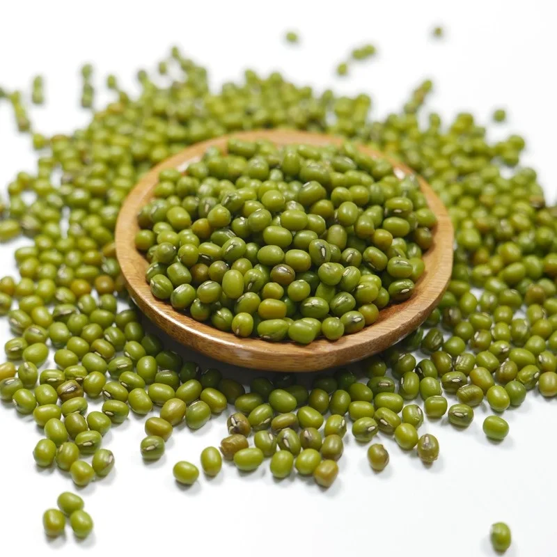 Chinese Dried Small Green Gram Mung Beans in Bulk
