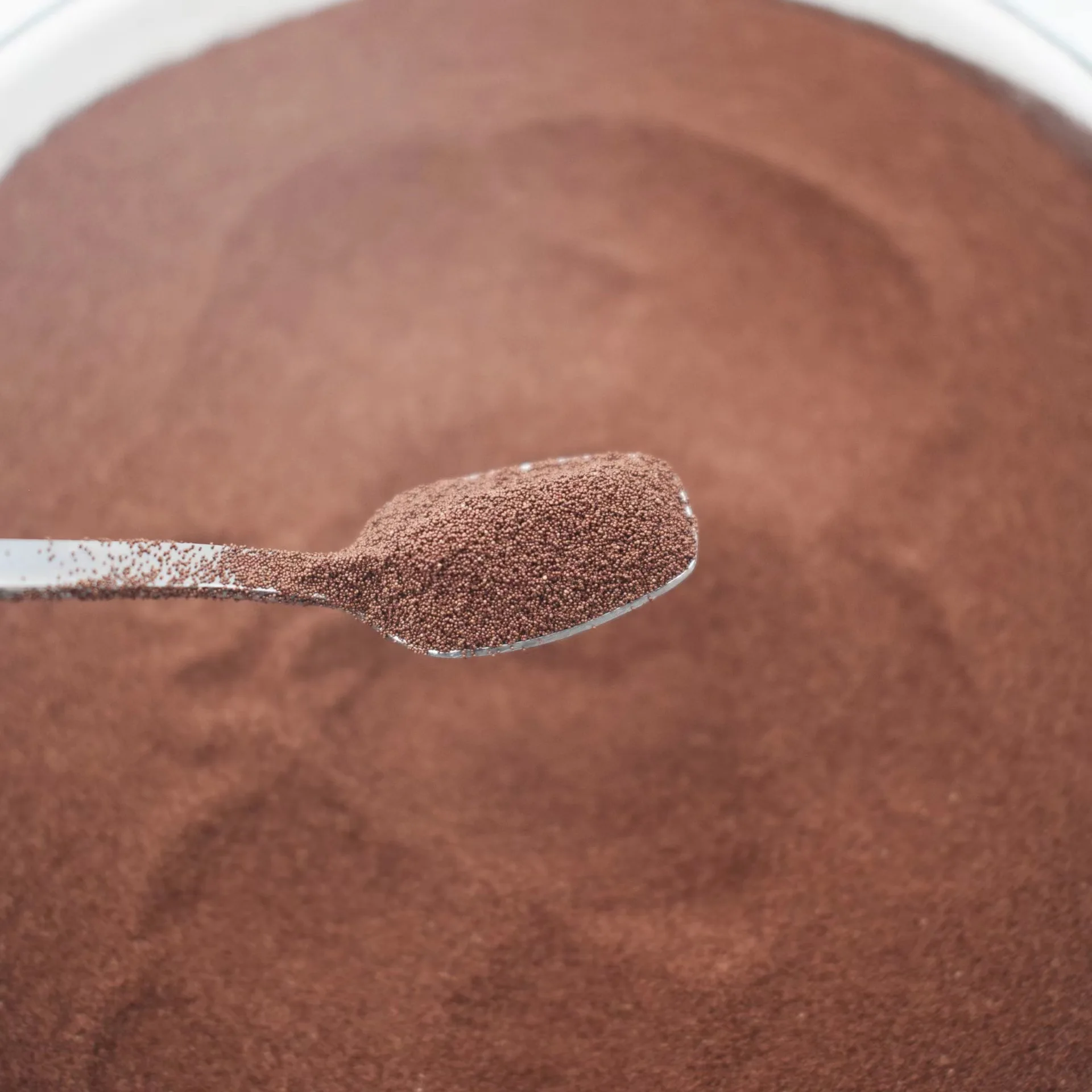 95% hatch rate Artemia Cysts (Brine Shrimp Eggs) artemia eggs