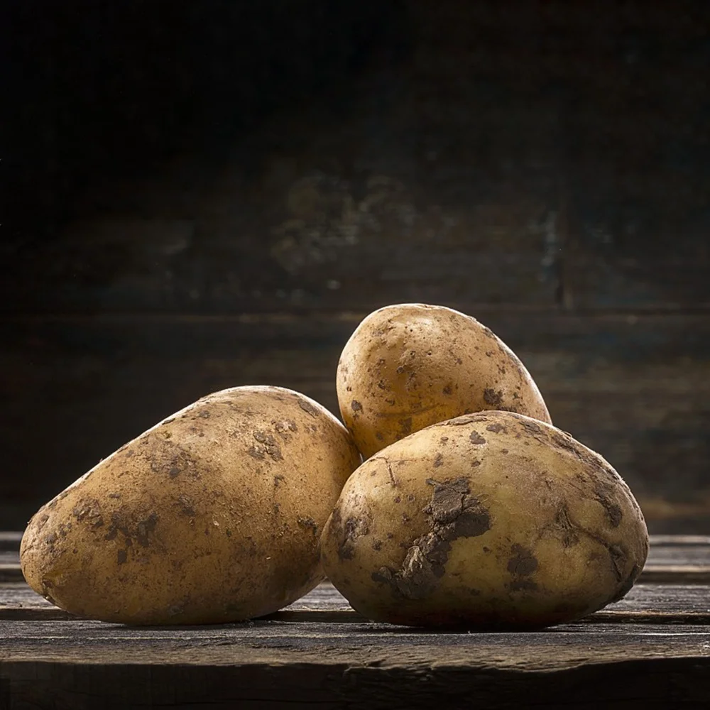 Wholesale Best Price Supplier of Fresh Vegetables Potatoes with Fast Delivery