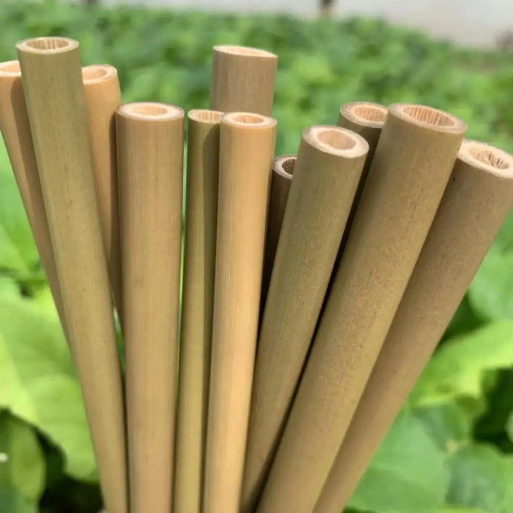 Reusable & Biodegradable Organic Natural Bamboo Drinking Straw straw bamboo