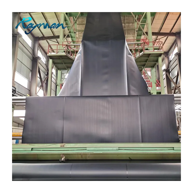 HDPE Pond Liner 0.3mm 0.5mm 0.75mm 1.0mm 1.5mm HDPE Geomembranes Price for Pond Dam Water Harvesting Structure Geomembrane