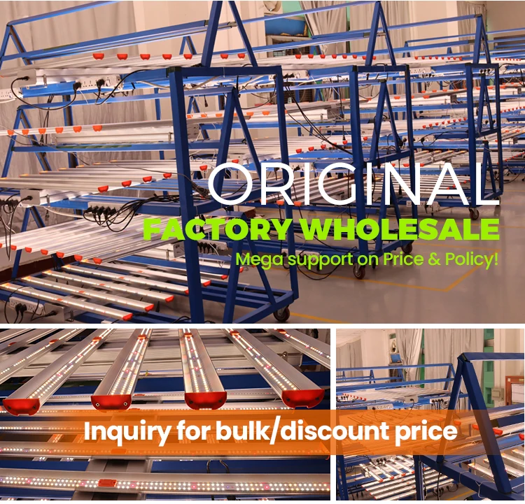 Wholesale Price Grow Light Bar Red 110W Led Grow Light High Power Grow Light Supplier In China