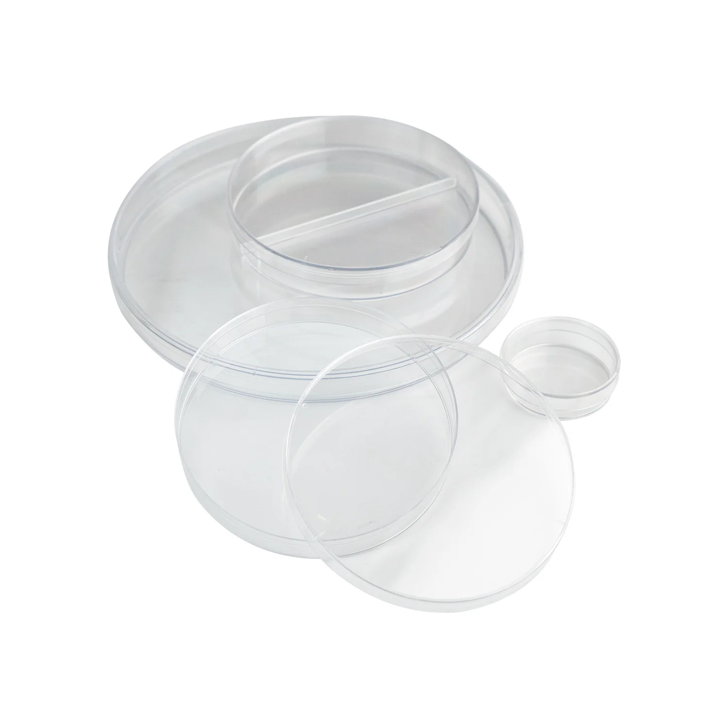 Laboratory disposable 2 room petri dish transparent culture dish