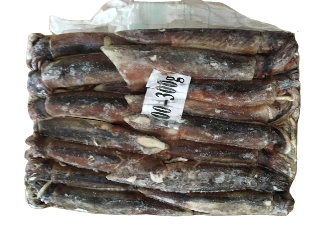 2022 New Arrivals Frozen Squid Whole Round Cumi Squid Fresh 100g BQF Illex Squid For Thailand Market
