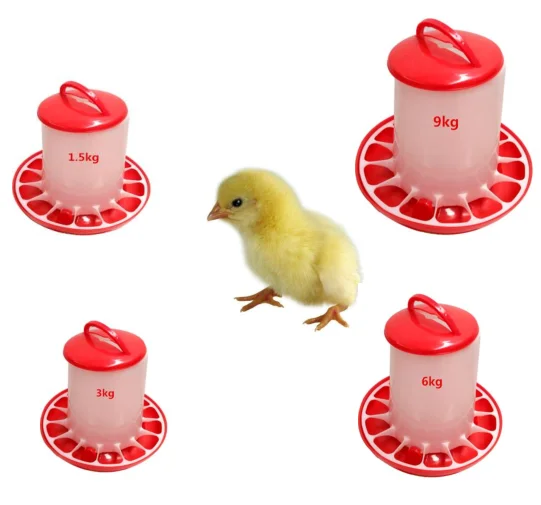 Best Selling PP Plastic Poultry Chicken Feeders And Drinkers