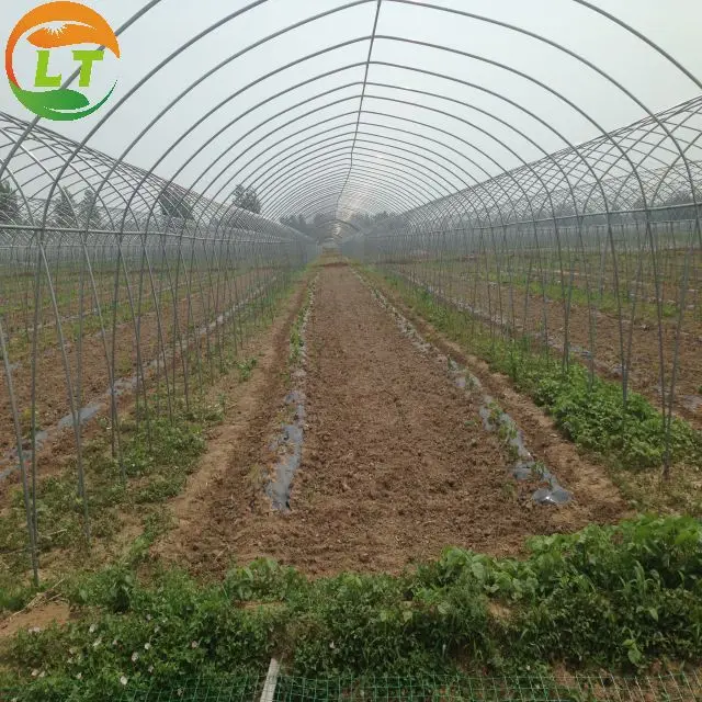 Chinese greenhouse with compression resistant, stainless, can be customized greenhouse frame