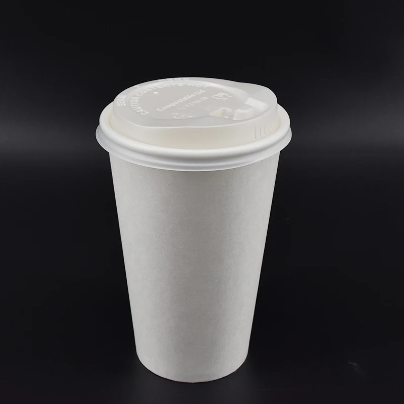 100% Compostable Пользовательский логотип напечатанный одноразовый PLA покрытие бумажный