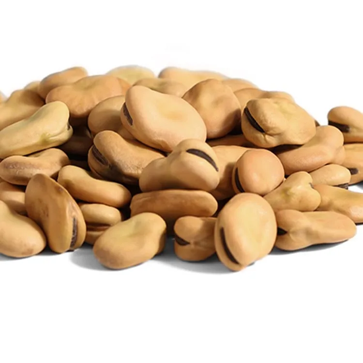 2021 new crop high quality and hot selling cheap price dry brown broad beans