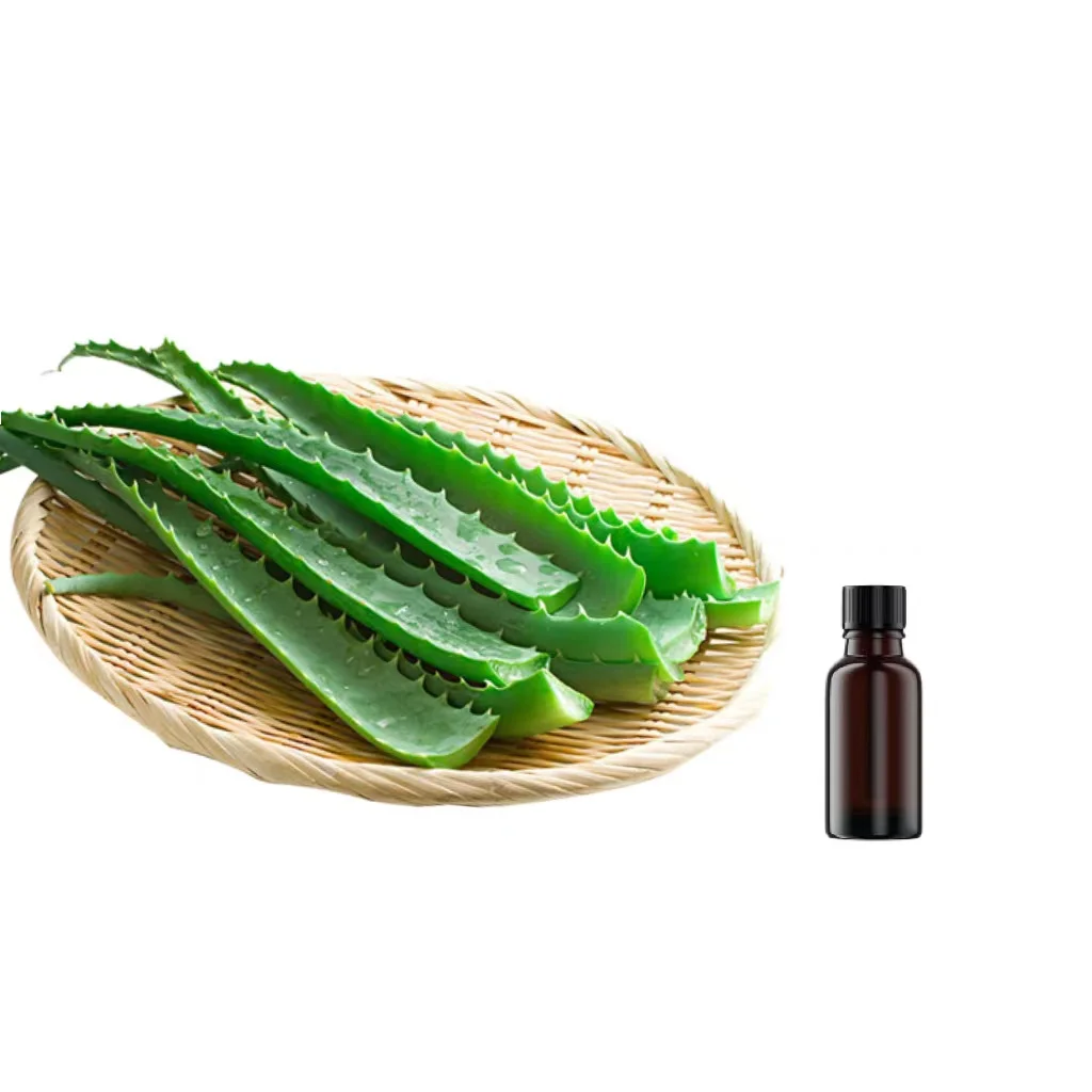 Fresh Aloe Vera Extract Used in Cosmetic Skin Care Products Processing Aloe P.E