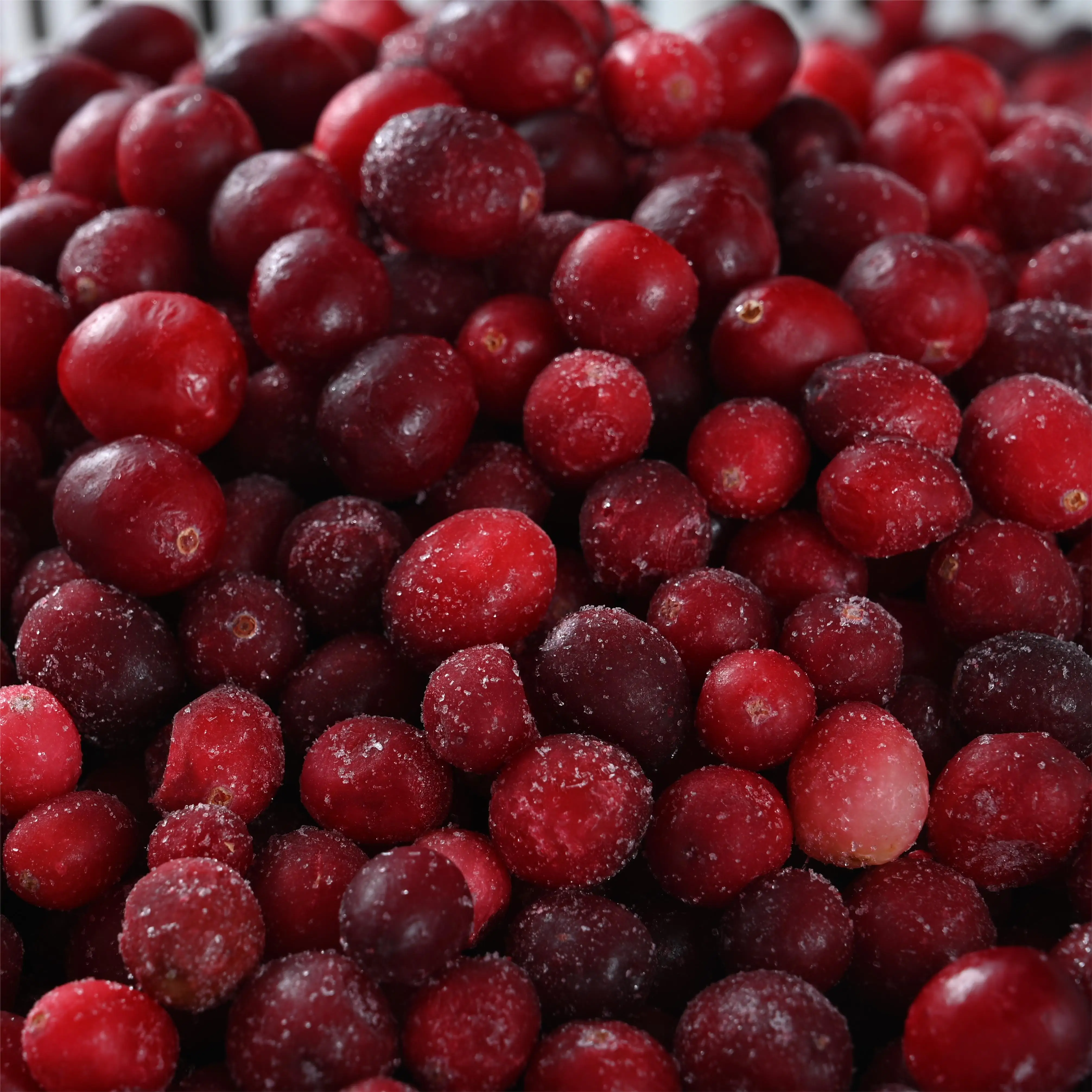 factory direct export frozen cranberry wholesale frozen cranberries