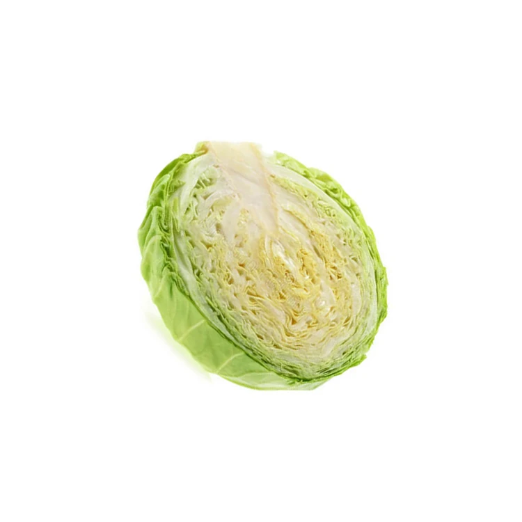 
Wholesale good quality and low price green fresh green cabbage in bulk 