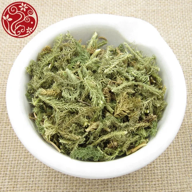 
hot sale lycopodium clavatum Shen Jin Cao herb medicine 