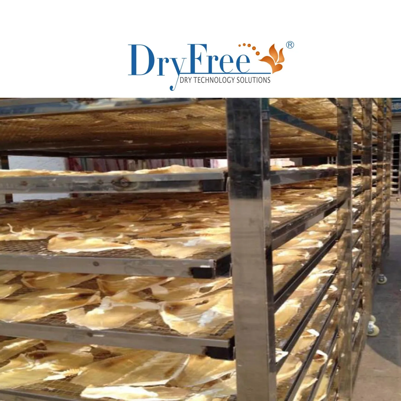 Hot-air Circulating Industrial fish drying equipment Electric oven for fish dryer and dried fish machine seafood dryer