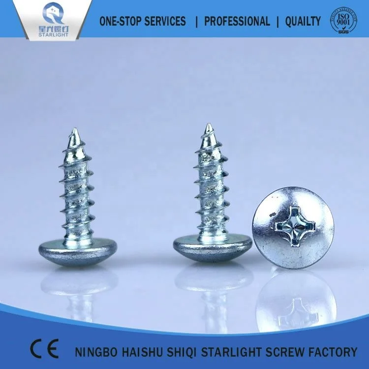 Round head with pad m2x10 self tapping screws roof self-tapping screw