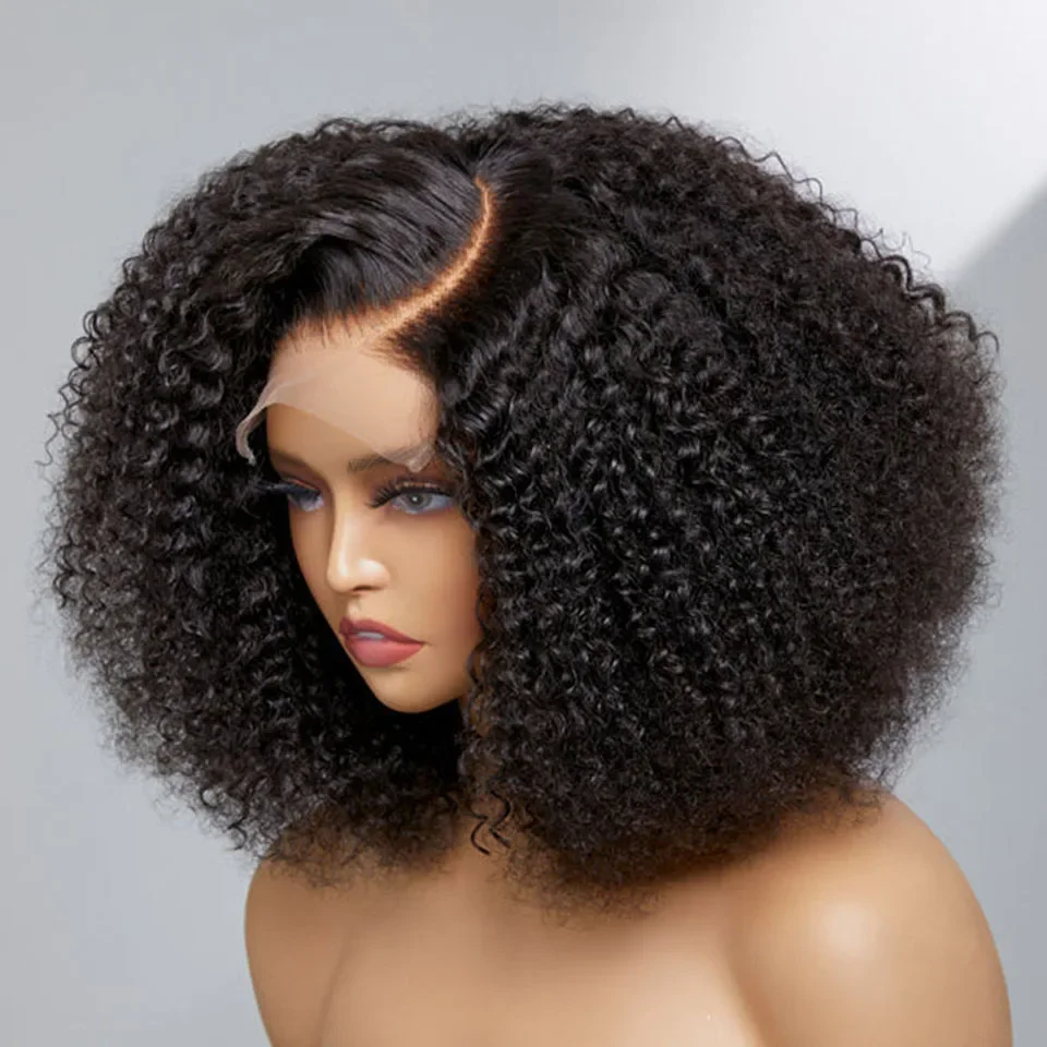Kinky Curly Full 13X4 HD Lace Front Wig Raw Indian Virgin Human Hairs Wig Glueless Preplucked With Baby Hair Remy Hairline Remy